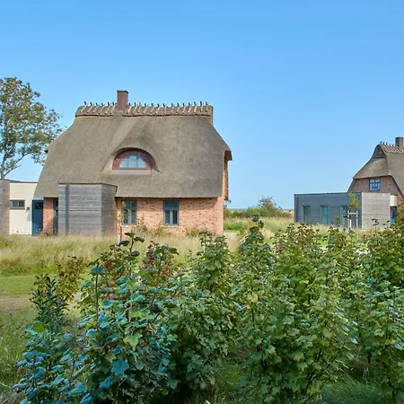 Holiday home Reetdorf Geltinger Birk Kuenstlerkate Nehrung